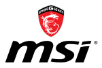 MSI