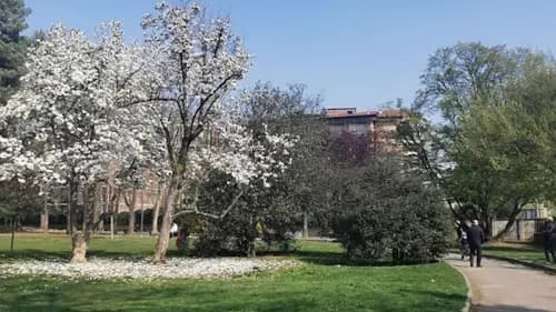 Santa Rita, Torino — zona servita da C.A.T. per assistenza antifurti e allarmi