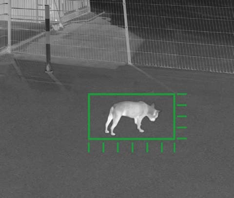 Stessa inquadratura termica con un animale: viene classificato come tale e non genera allarme